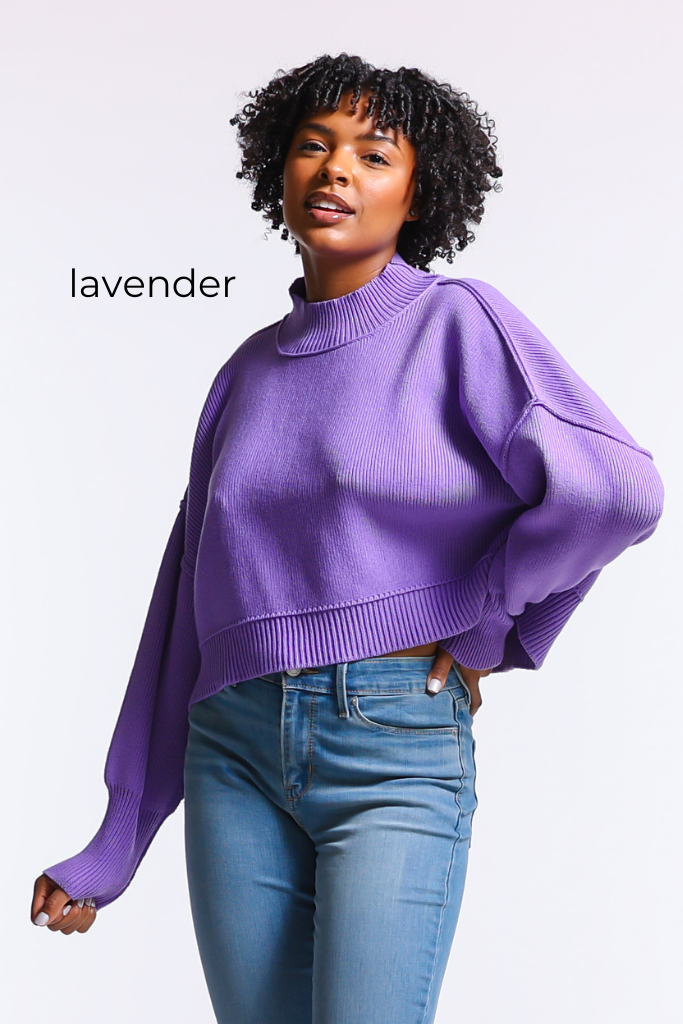 Cropped Knit Side Slit Sweater